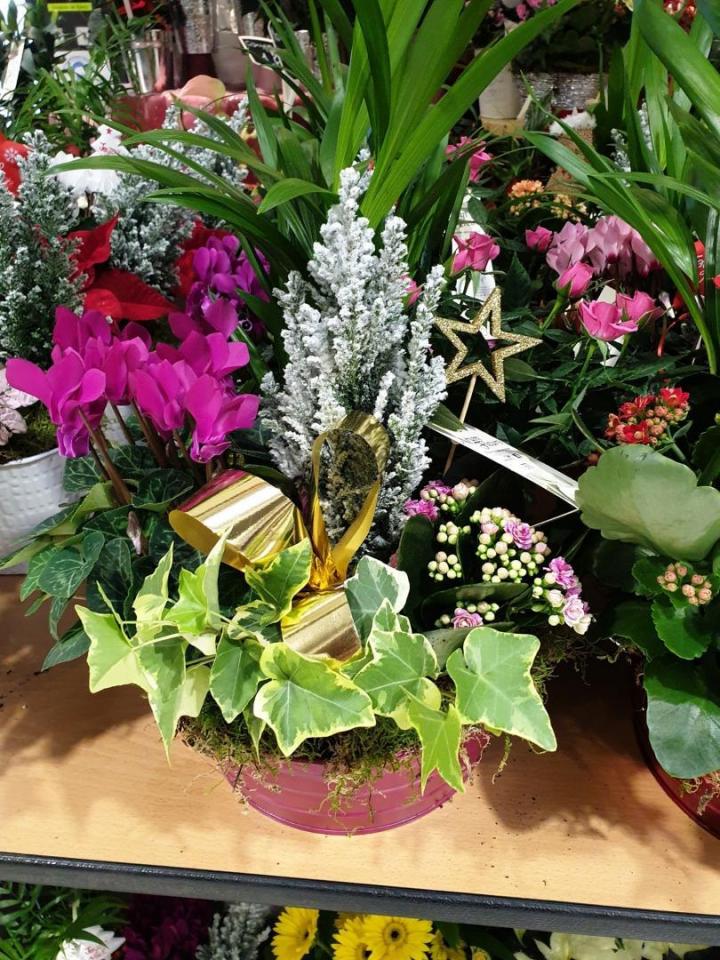 Fleuriste mariage Mennecy