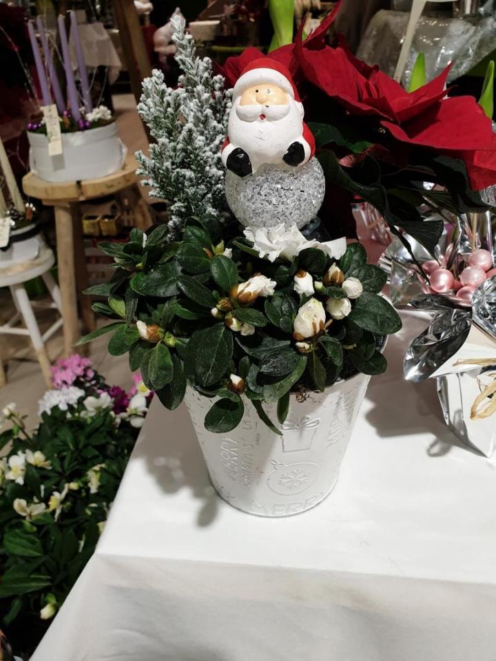 des fleuristes évènementiels qualifiés à Mennecy 