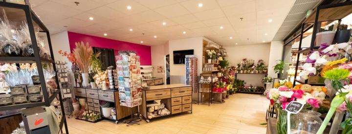 Vente plantes vertes Mennecy