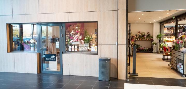 Vente plantes vertes Mennecy