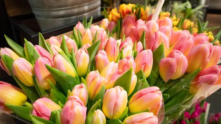 Livraison de fleurs à domicile à Mennecy