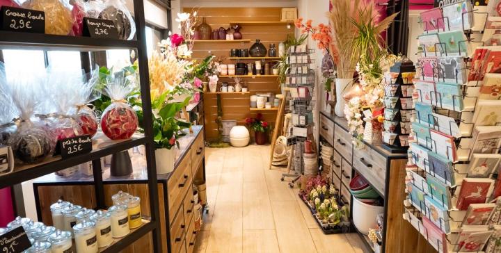 Vente plantes vertes Mennecy