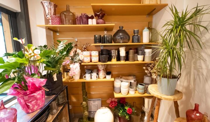 Vente plantes vertes Mennecy