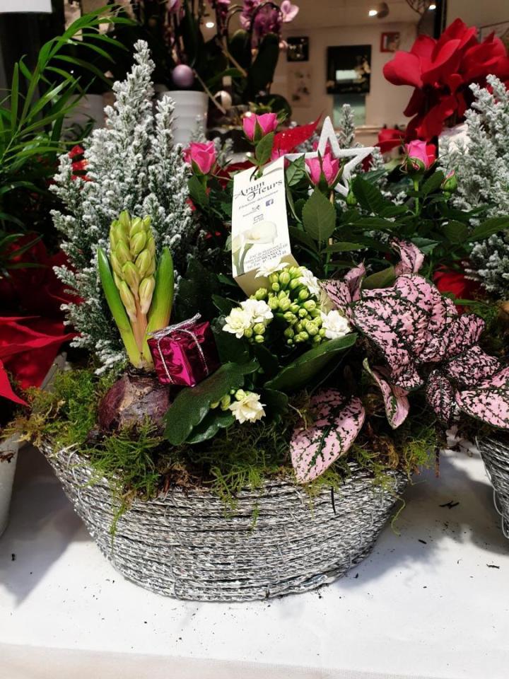 Vente plantes vertes Mennecy